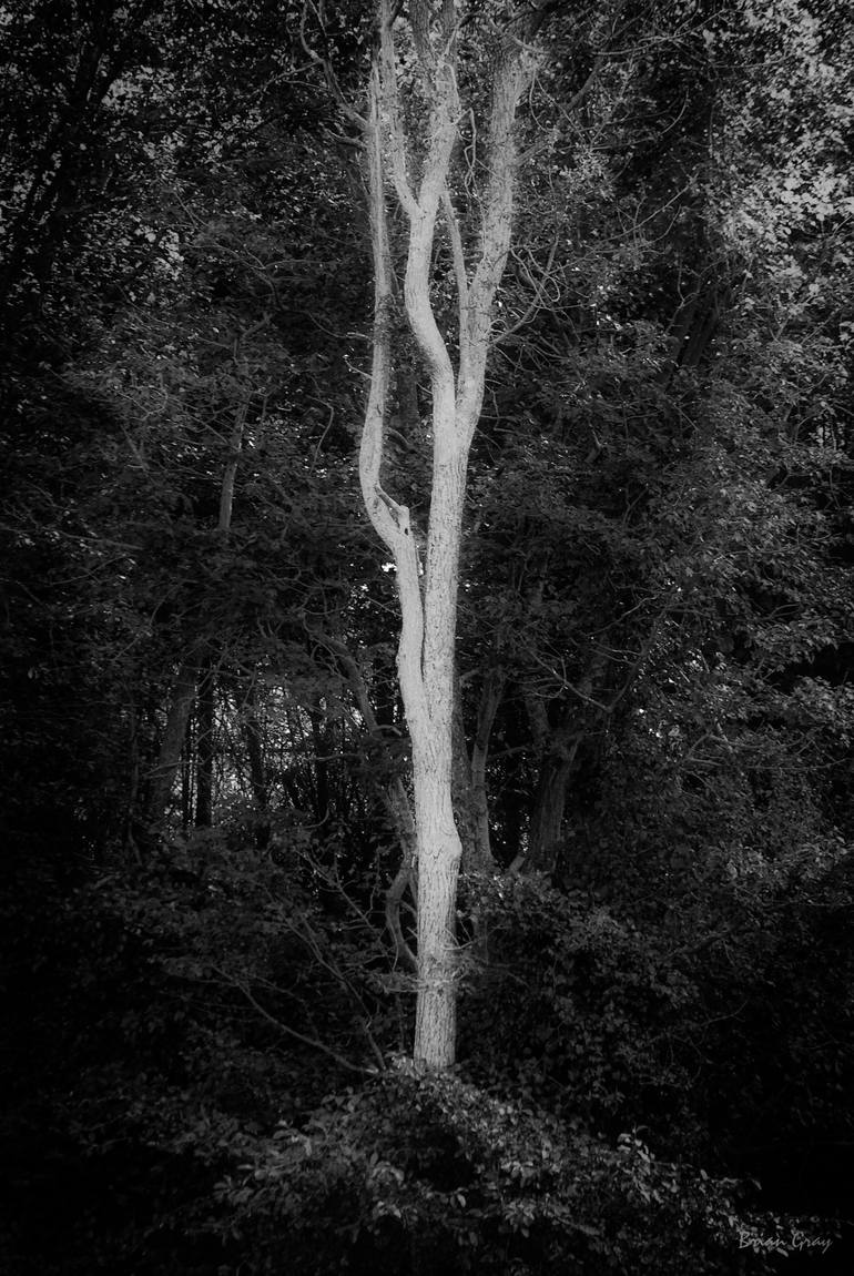 Original black \u0026 white photography For Sale | Saatchi Art, image size:770x1150