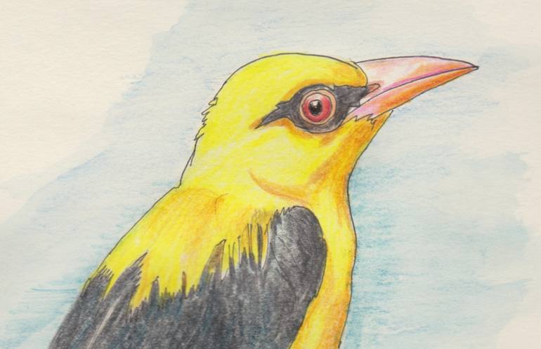 Original Illustration Animal Drawing by Satyakam Garg