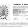 Certificate of Authenticity