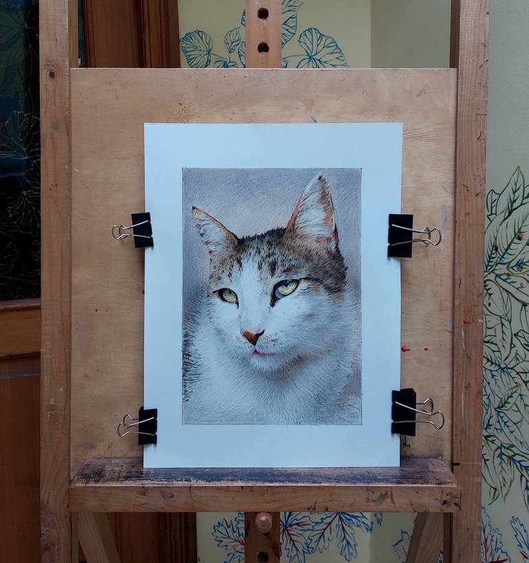 Original Realism Cats Drawing by Tamar Nakaidze