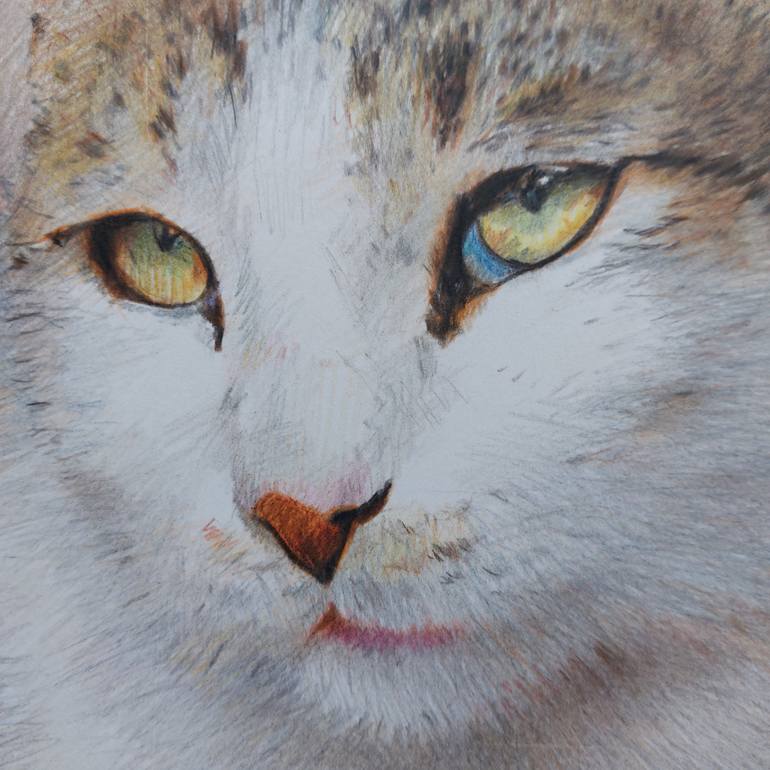 Original Realism Cats Drawing by Tamar Nakaidze