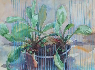 Original Contemporary Still Life Painting by Tamar Nakaidze