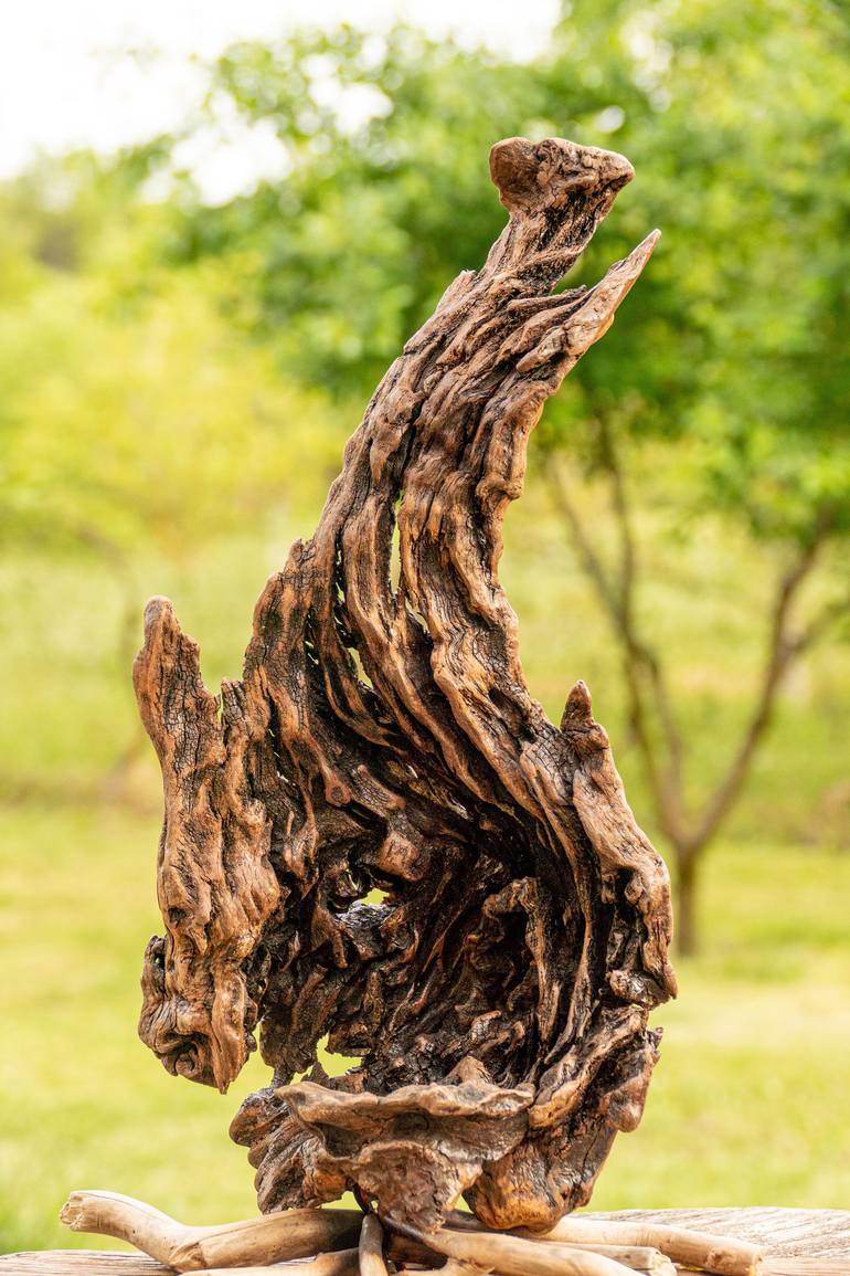 Original Abstract Nature Sculpture by Bozhidar Yanakiev
