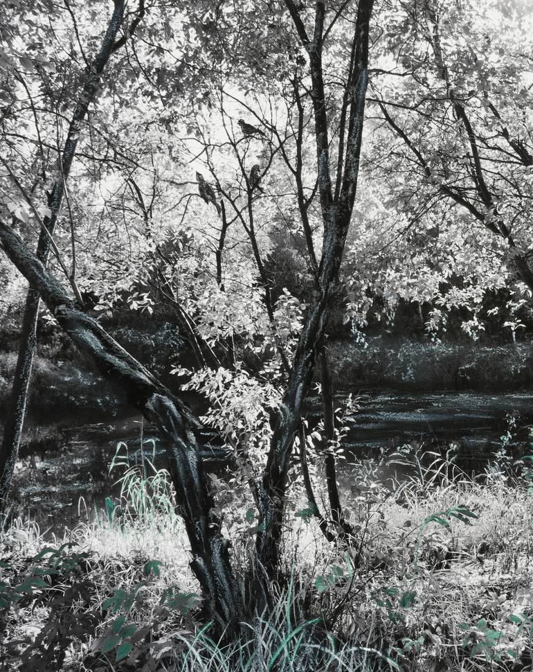 Original Figurative Landscape Mixed Media by Charlotte Eder