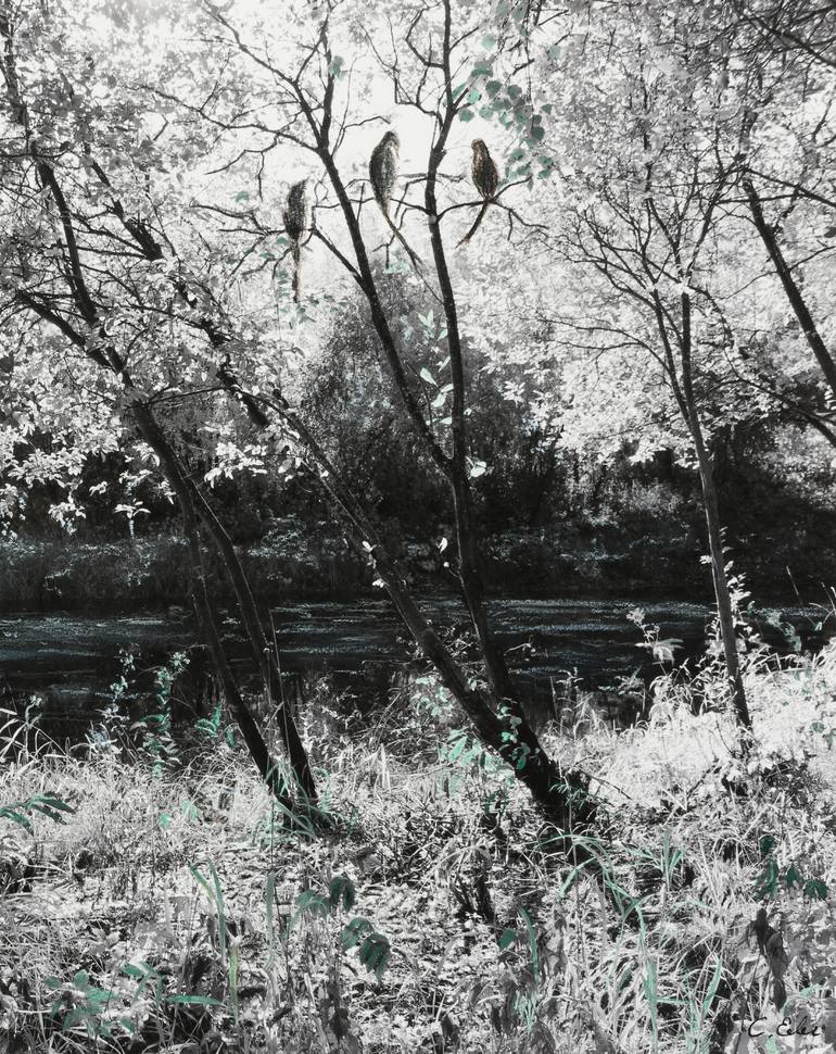 Original Figurative Landscape Mixed Media by Charlotte Eder