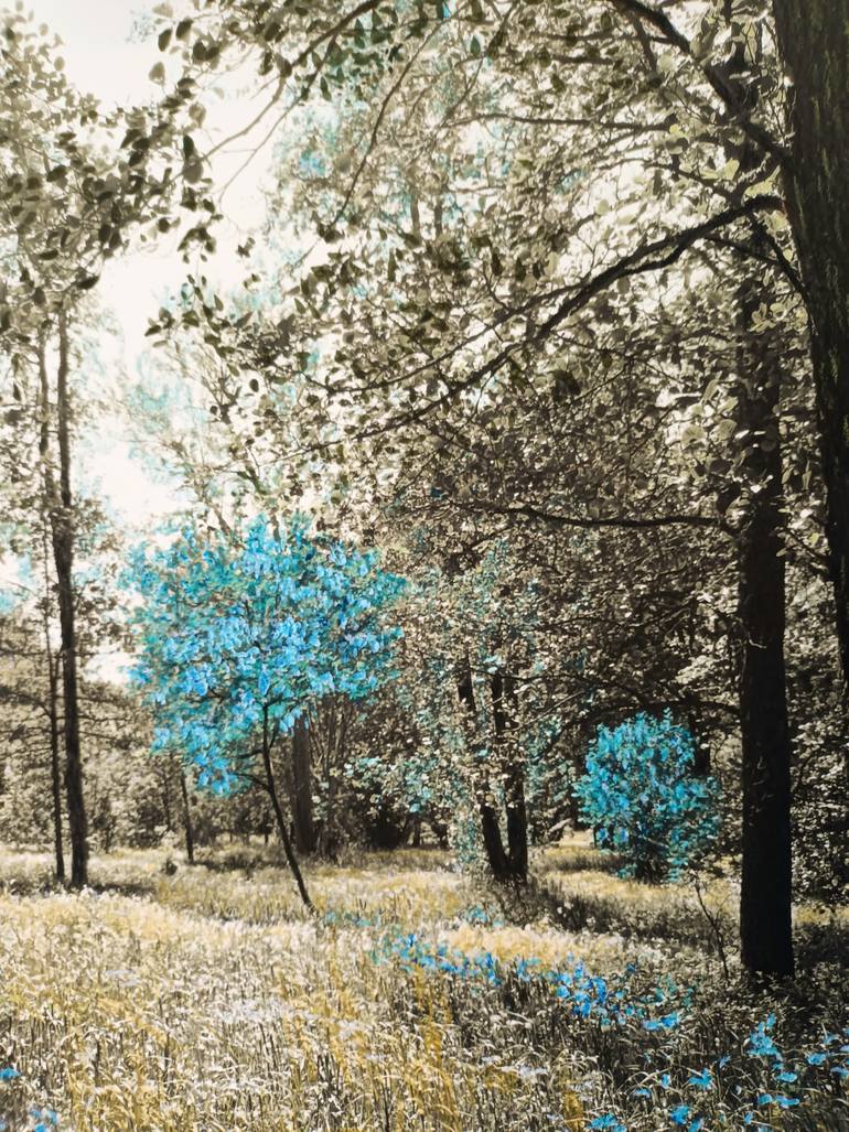 Original Impressionism Landscape Mixed Media by Charlotte Eder