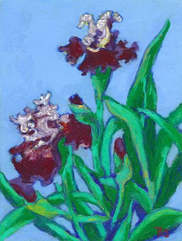 Original Expressionism Floral Drawings by Rhiannon Schubert
