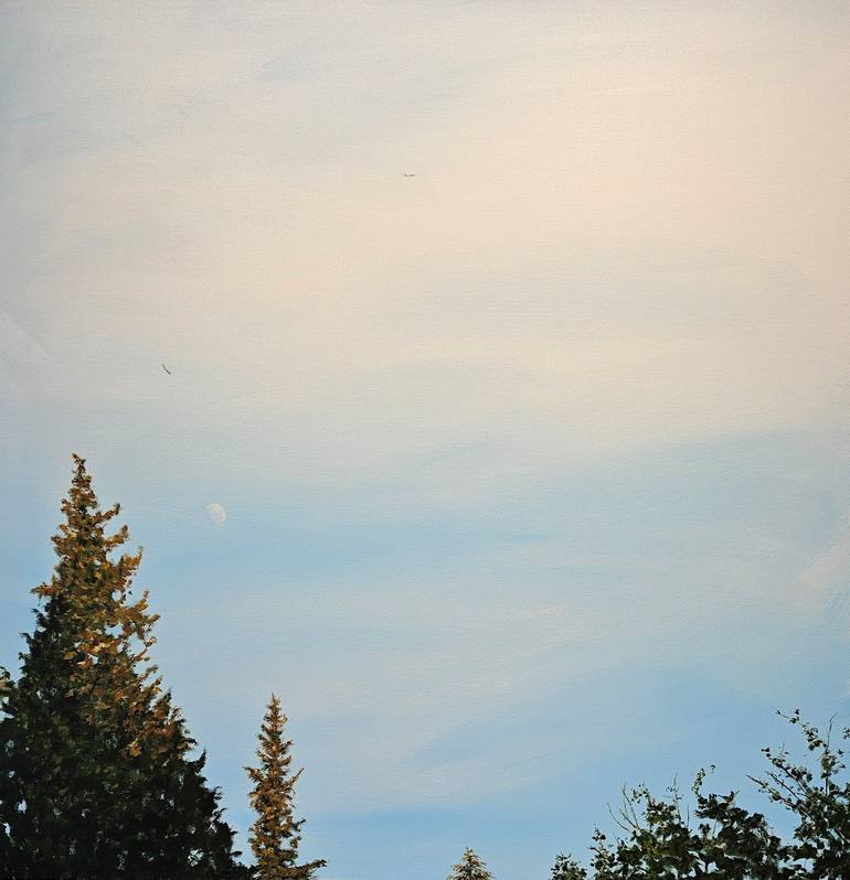 Original Realism Nature Paintings by Myra Mae Platt