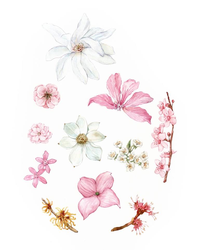 Print of Realism Botanic Paintings by Anna Farba