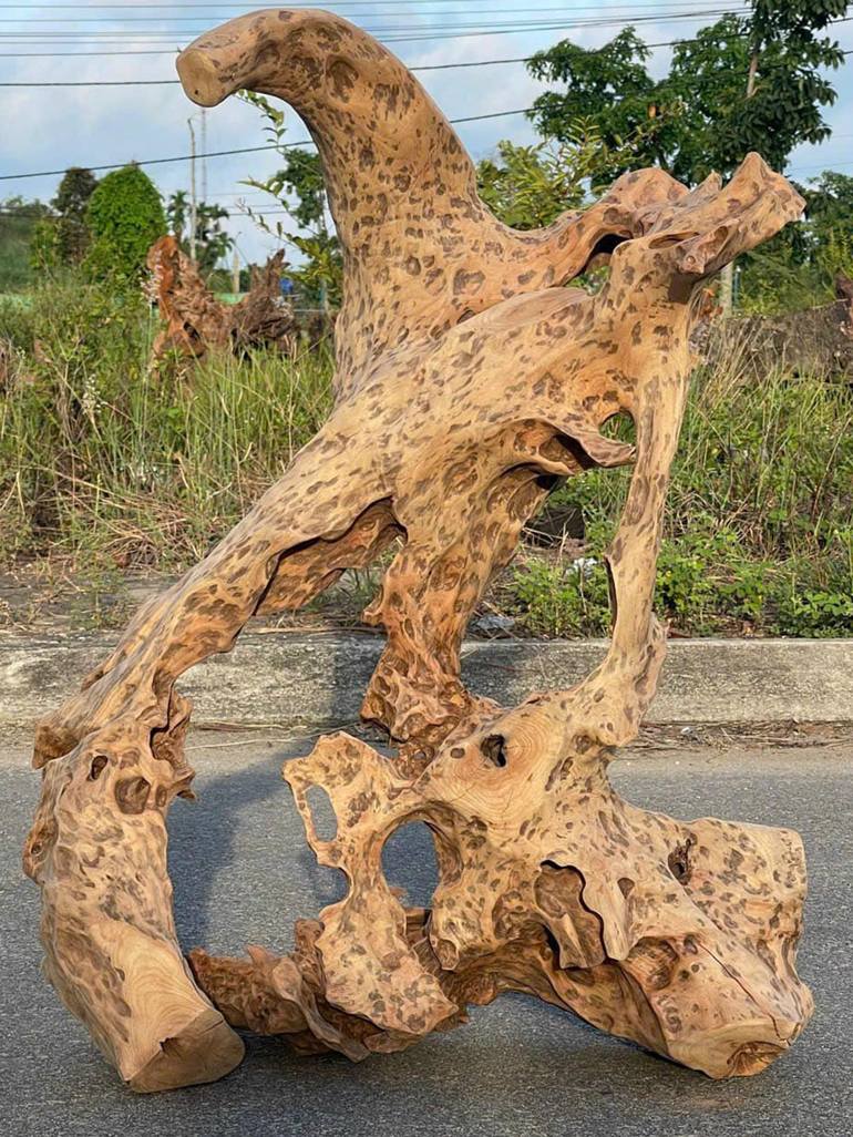 Original Abstract Expressionism Nature Sculpture by Minh Hung Huynh