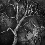 arbol by Csilla Savos