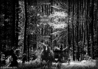 Original Black & White Fantasy Digital by Faridz Chaidir Rahman