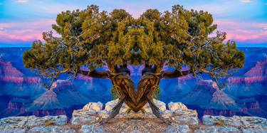 Original Abstract Landscape Photography by Sid Kincaid