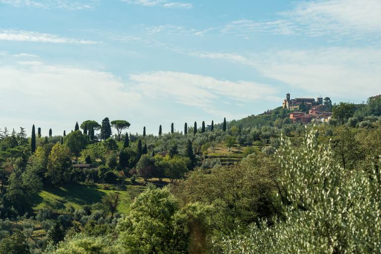 View in a Room Artwork