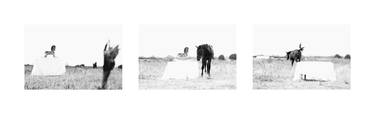 Original Black & White Horse Photography by Janno Bergmann