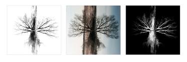 Original Conceptual Nature Photography by Janno Bergmann