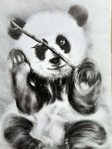 Original Black & White Animal Paintings by Janice Tee