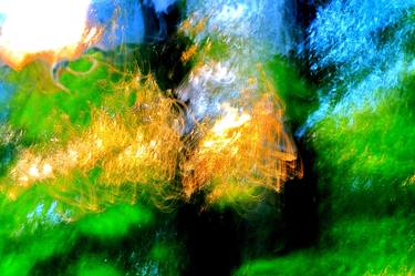 Original Abstract Nature Photography by Andrew Solmaler