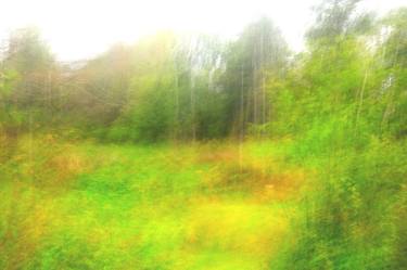 Original Abstract Nature Photography by Andrew Solmaler
