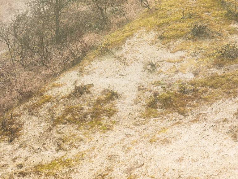Original Realism Landscape Photography by Theo Bos