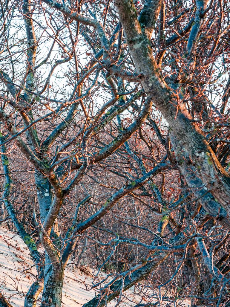 Original Realism Landscape Photography by Theo Bos