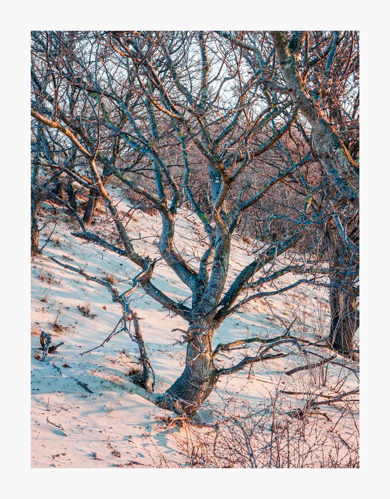 Original Realism Landscape Photography by Theo Bos