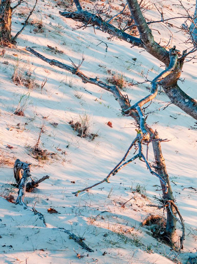 Original Realism Landscape Photography by Theo Bos