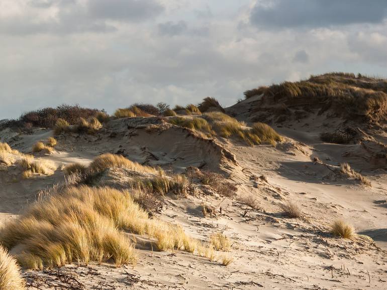 Original Realism Landscape Photography by Theo Bos