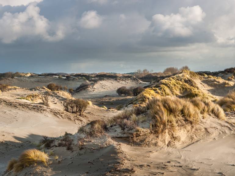 Original Realism Landscape Photography by Theo Bos