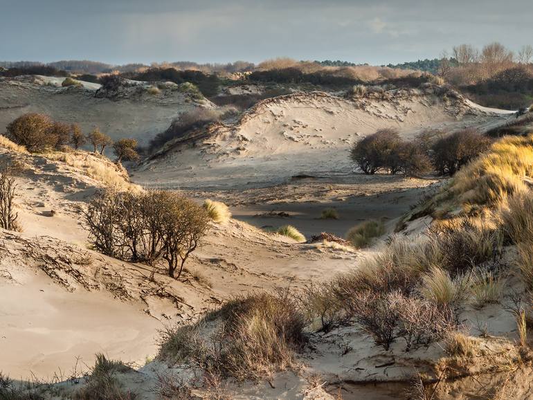 Original Realism Landscape Photography by Theo Bos