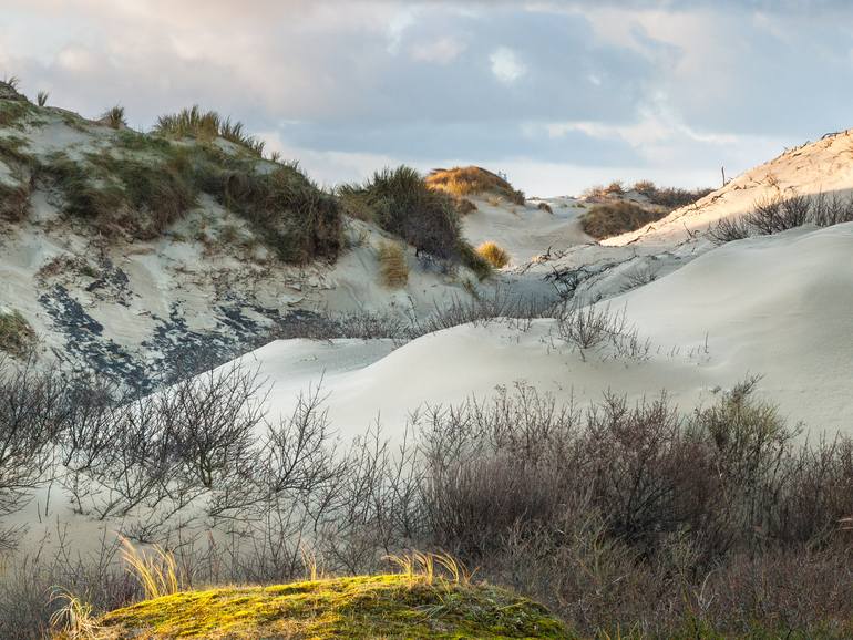 Original Realism Landscape Photography by Theo Bos