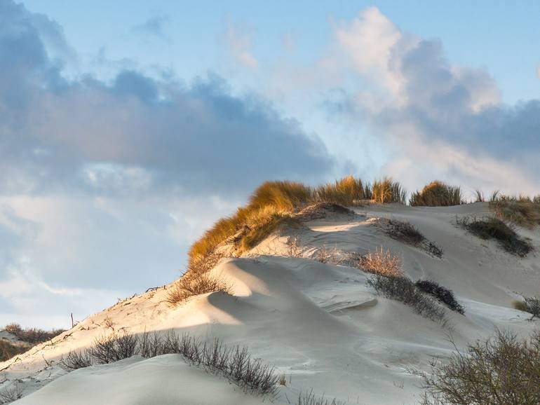 Original Realism Landscape Photography by Theo Bos