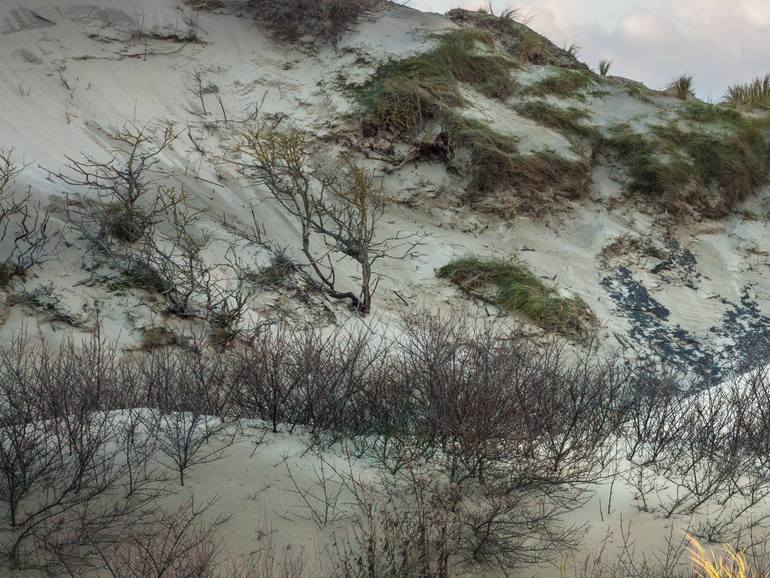 Original Realism Landscape Photography by Theo Bos