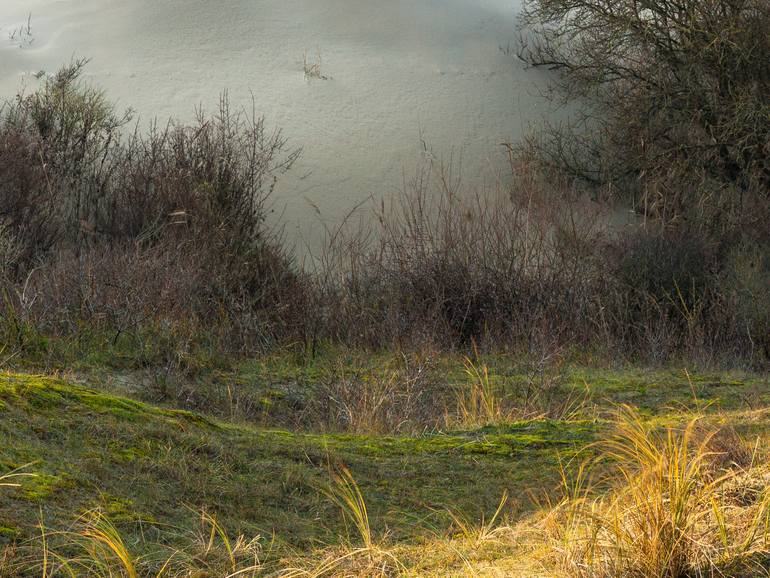 Original Realism Landscape Photography by Theo Bos