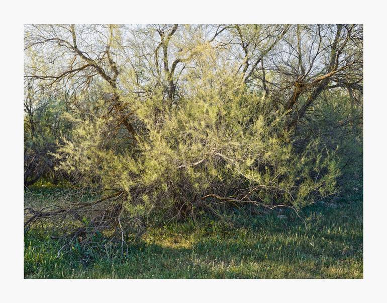 Original Realism Landscape Photography by Theo Bos