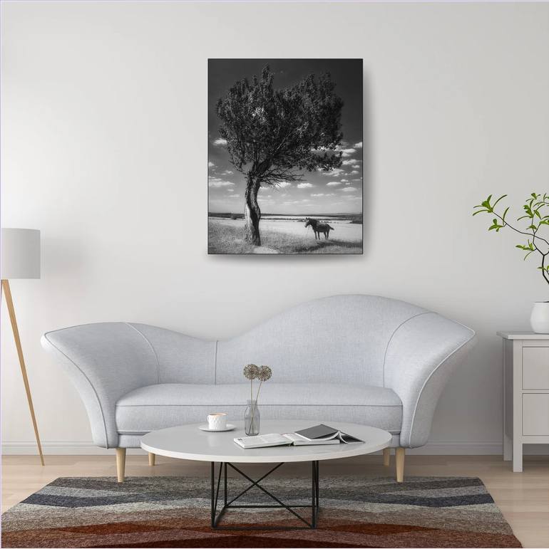 Original Black & White Landscape Photography by Артем Возний