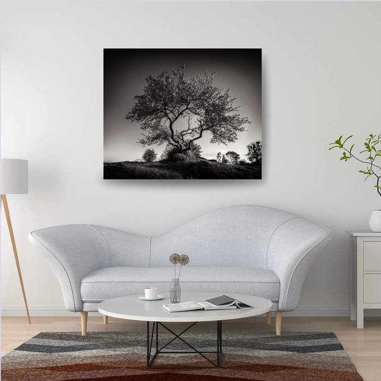 Original Black & White Landscape Mixed Media by Артем Возний