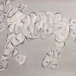 White Horse by Natasha Billinger