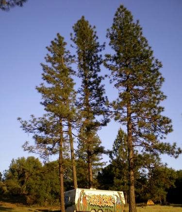 Graffiti Trailer Under Sequoias thumb