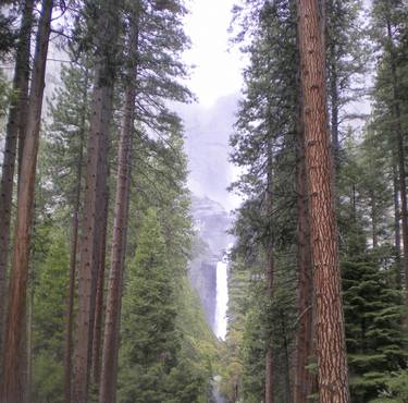 Yosemite Falls From A Distance thumb