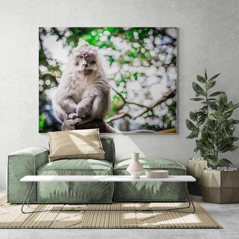 Original Portraiture Animal Photography by Sukhdev Benning