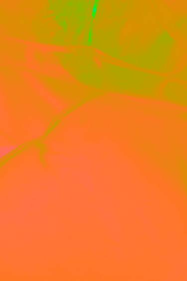 Original Abstract Photography by Karin Høie