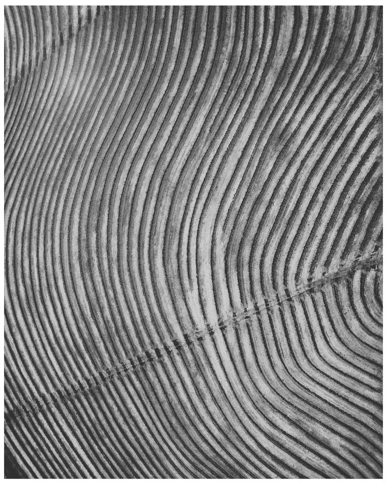 Original Abstract Landscape Photography by Rob Watermeyer