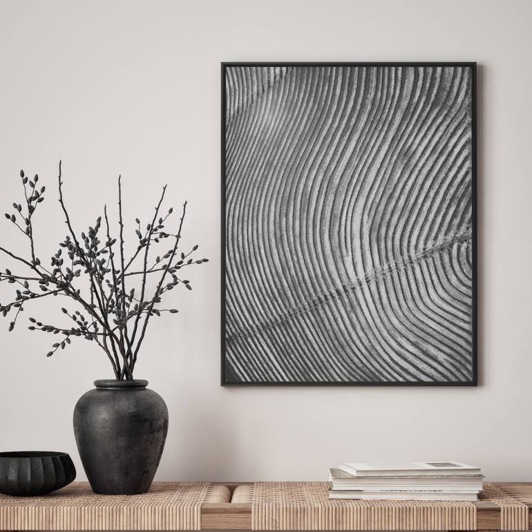 Original Abstract Landscape Photography by Rob Watermeyer
