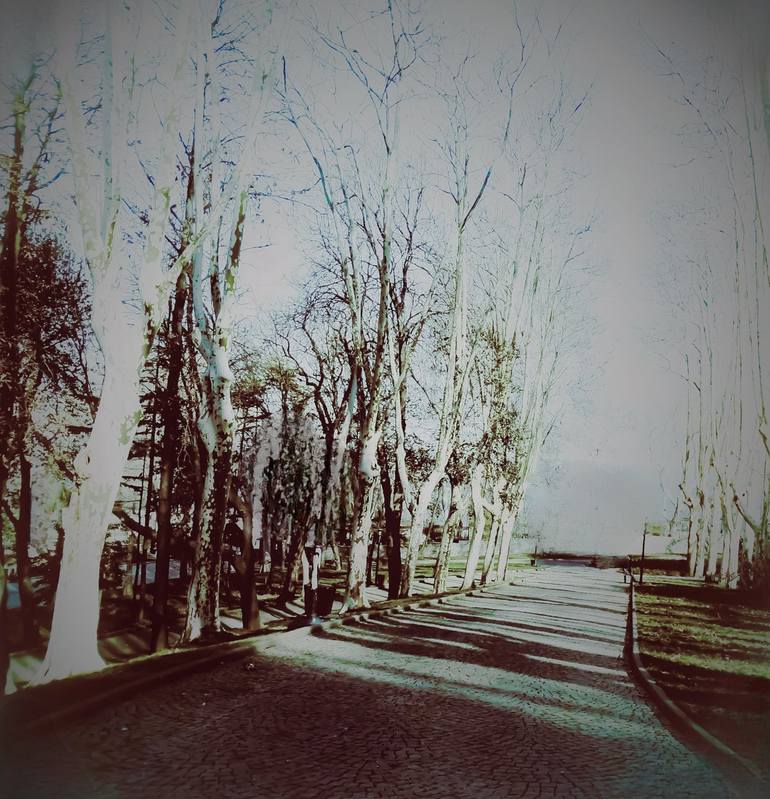 Original  Photography by banu  muazzez arpalı