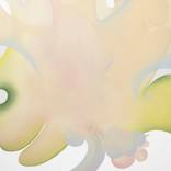 For walfare, organism by Kamila Model