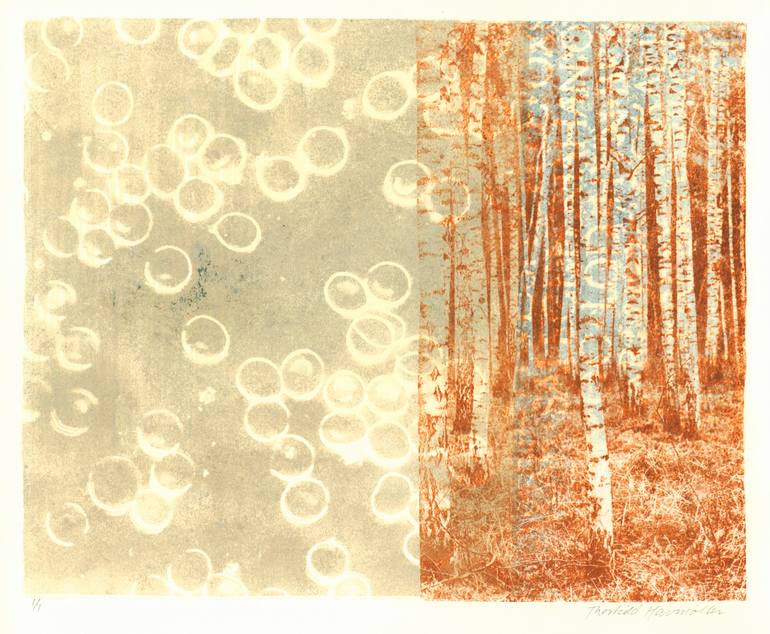 Original Figurative Nature Printmaking by Thorkild Havmøller