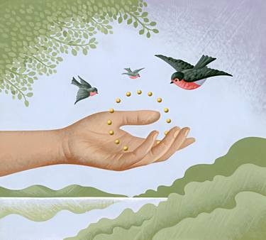 ST. FRANCIS OF ASSISI - Sermon to the Birds. thumb