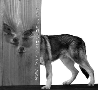 Original Surrealism Animal Collage by marco nerieri