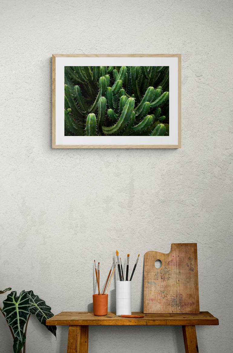 Original Abstract Botanic Photography by Tony Salles